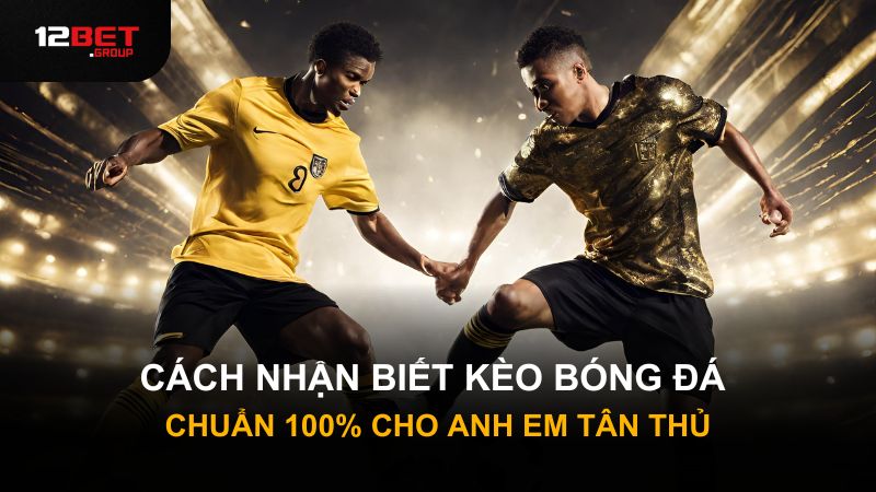 Cách Nhận Biết Kèo Bóng Đá Chuẩn 100% Cho Anh Em Tân Thủ