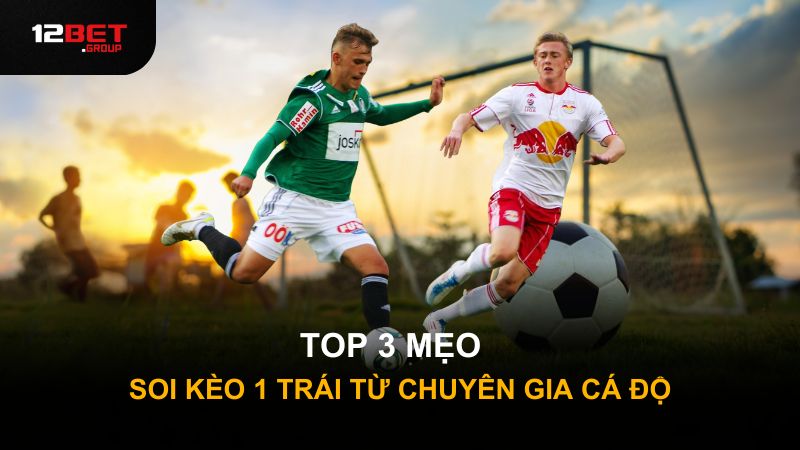 Top 3 mẹo soi kèo 1 trái từ chuyên gia cá độ