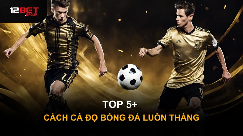 Top 5+ cách cá độ bóng đá luôn thắng không nên bỏ lỡ